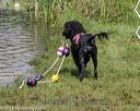 20180818-cwd-0038