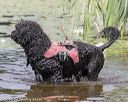 20180818-cwd-0041