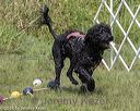 20180818-cwd-0050