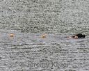 20180818-cwd-0083