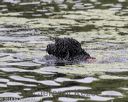 20180818-cwd-0105
