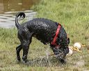 20180818-cwd-0130