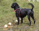 20180818-cwd-0132
