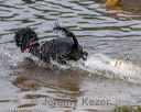20180818-cwd-0138
