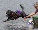 20180818-cwd-0145