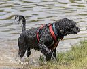 20180818-cwd-0167