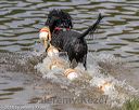 20180818-cwd-0177