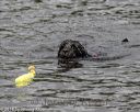 20180818-cwd-0201
