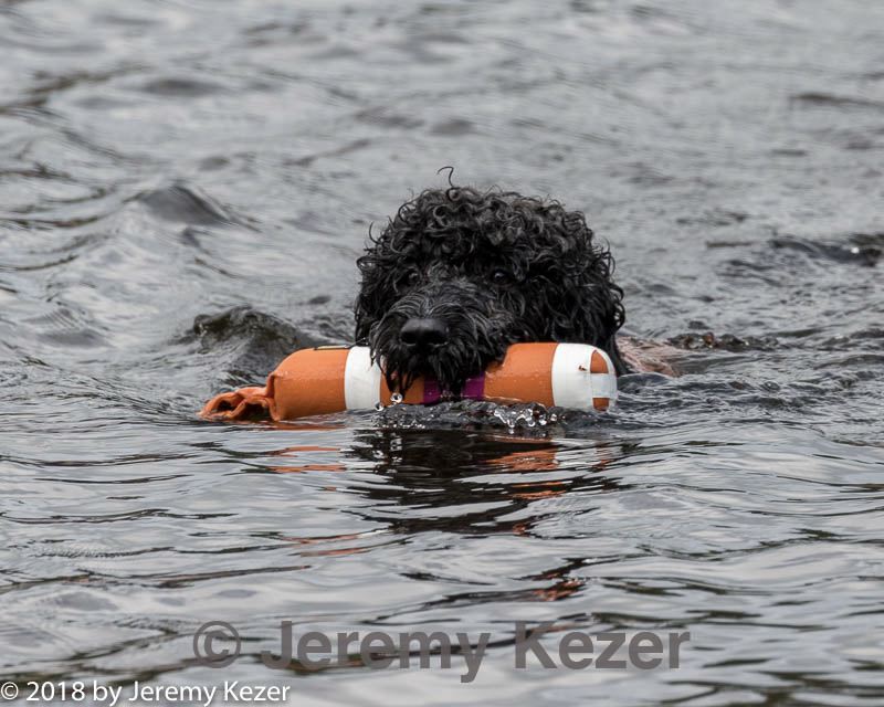 20180818-cwd-0066.jpg