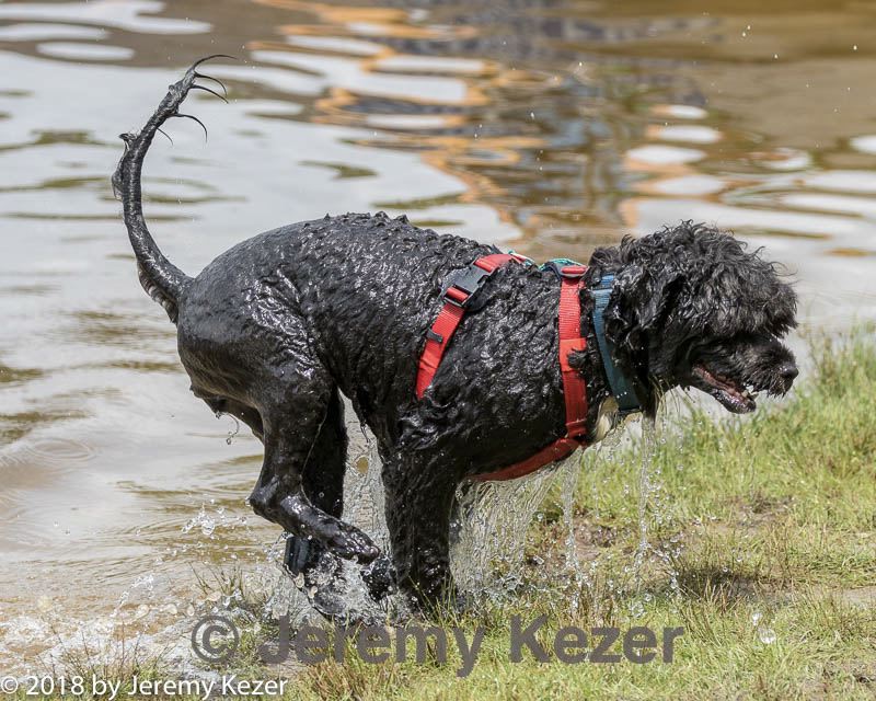 20180818-cwd-0126.jpg