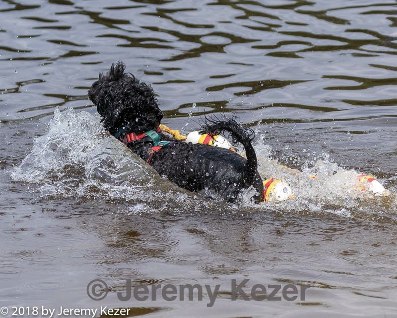 20180818-cwd-0140.jpg