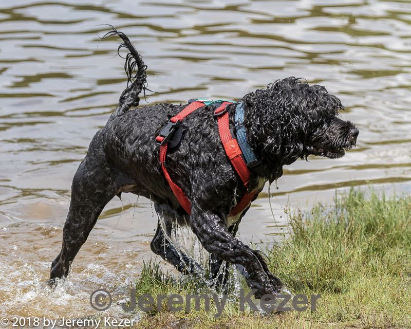20180818-cwd-0168.jpg