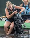 20180818-jwd-0053
