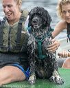 20180818-jwd-0060