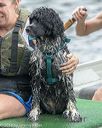 20180818-jwd-0062