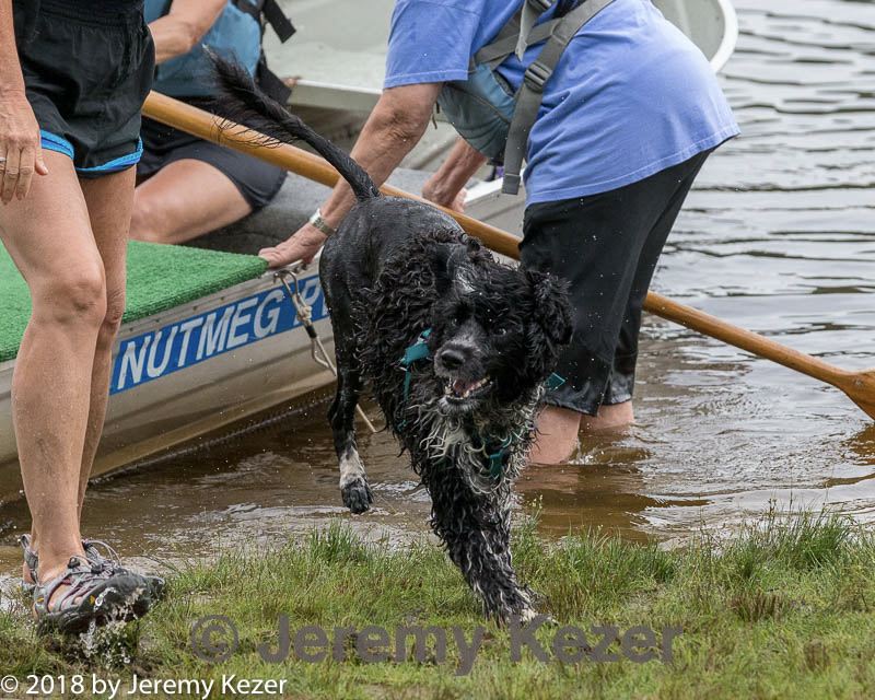 20180818-jwd-0036.jpg
