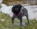 20180818-wwd-0003