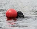 20180818-wwd-0063