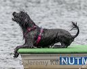 20180818-wwd-0067