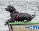 20180818-wwd-0070