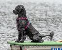 20180818-wwd-0071