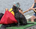 20180818-wwd-0119