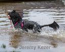 20180818-wwd-0174