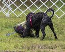 20180818-wwd-0195