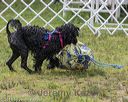20180818-wwd-0196