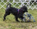 20180818-wwd-0198
