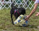 20180818-wwd-0202