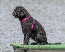 20180818-wwd-0240
