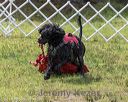 20180818-wwd-0278