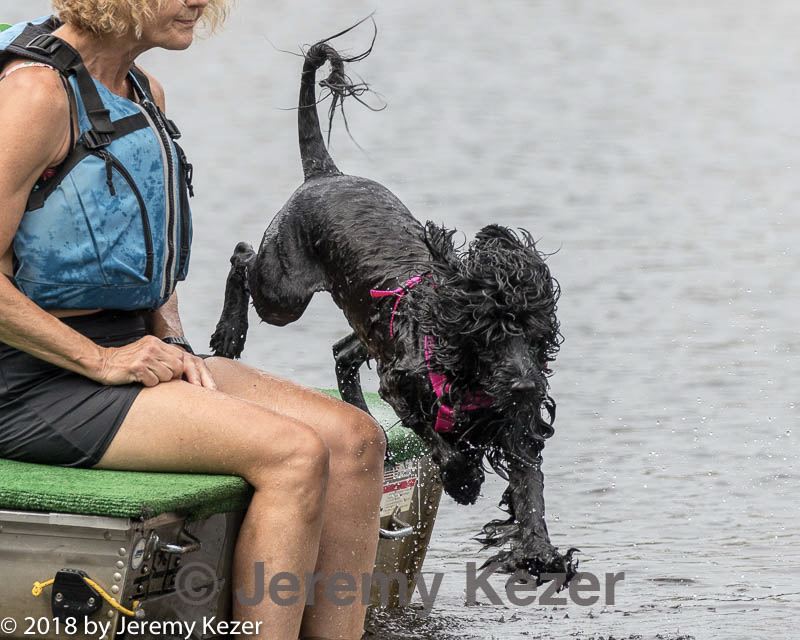 20180818-wwd-0042.jpg