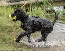 20180819-awd-0019