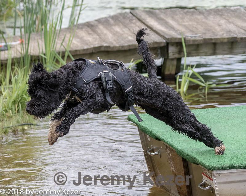 20180819-awd-0035.jpg