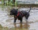 20180819-cwd-0028