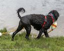 20180819-cwd-0035