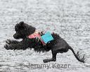 20180819-cwd-0045