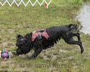 20180819-cwd-0063