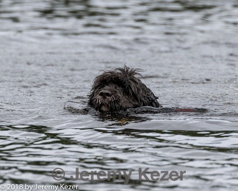 20180819-cwd-0027.jpg