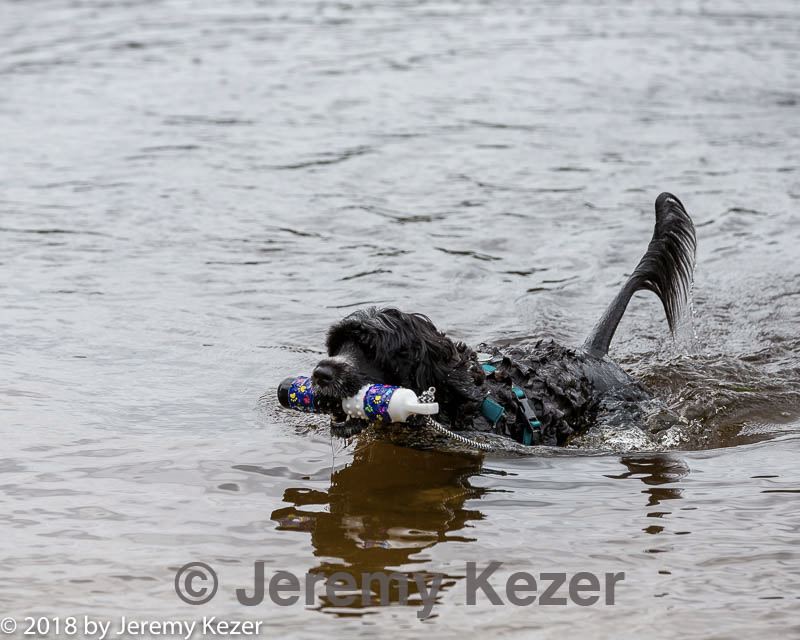 20180819-jwd-0003.jpg