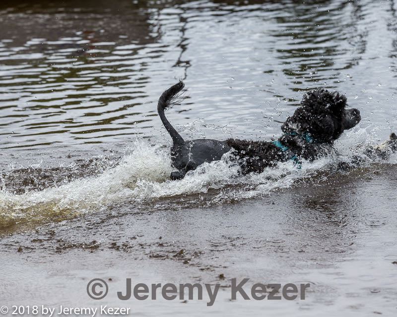 20180819-jwd-0013.jpg
