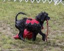 20180819-wwd-0009