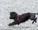 20180819-wwd-0073