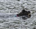 20180819-wwd-0074