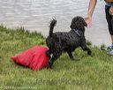 20180819-wwd-0130
