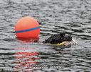 20180819-wwd-0147