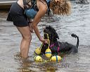 20180819-wwd-0180