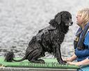 20180819-wwd-0276